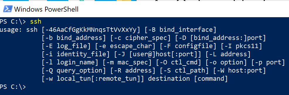 SSH Windows Command Output